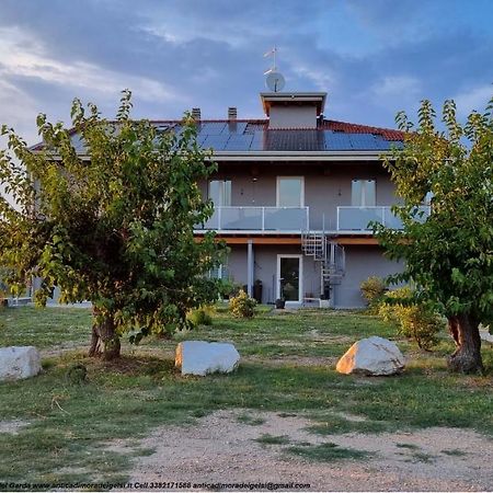 Antica Dimora Dei Gelsi Bed & Breakfast Manerba del Garda Eksteriør bilde